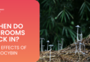 How Long Does It Take for Shrooms to Kick In?
