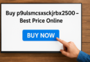 p9ulsmcsxsckjrbx2500