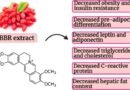The 4 Roles of Berberine in Metabolic Health