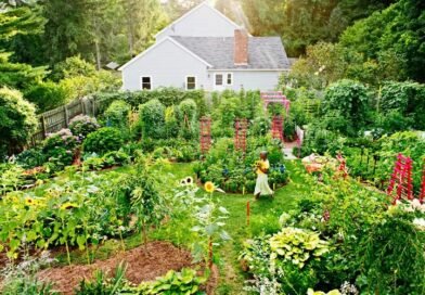Regenerative Permaculture Landscaping: Transform Your Space Naturally