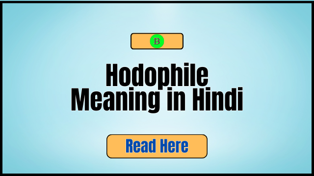 hodophile meaning in hindi