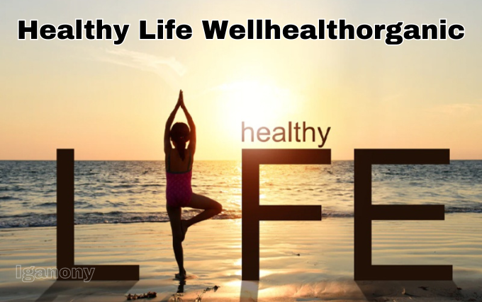 healthy life wellhealthorganic