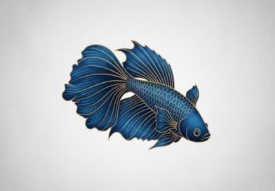 Fish wallpaper