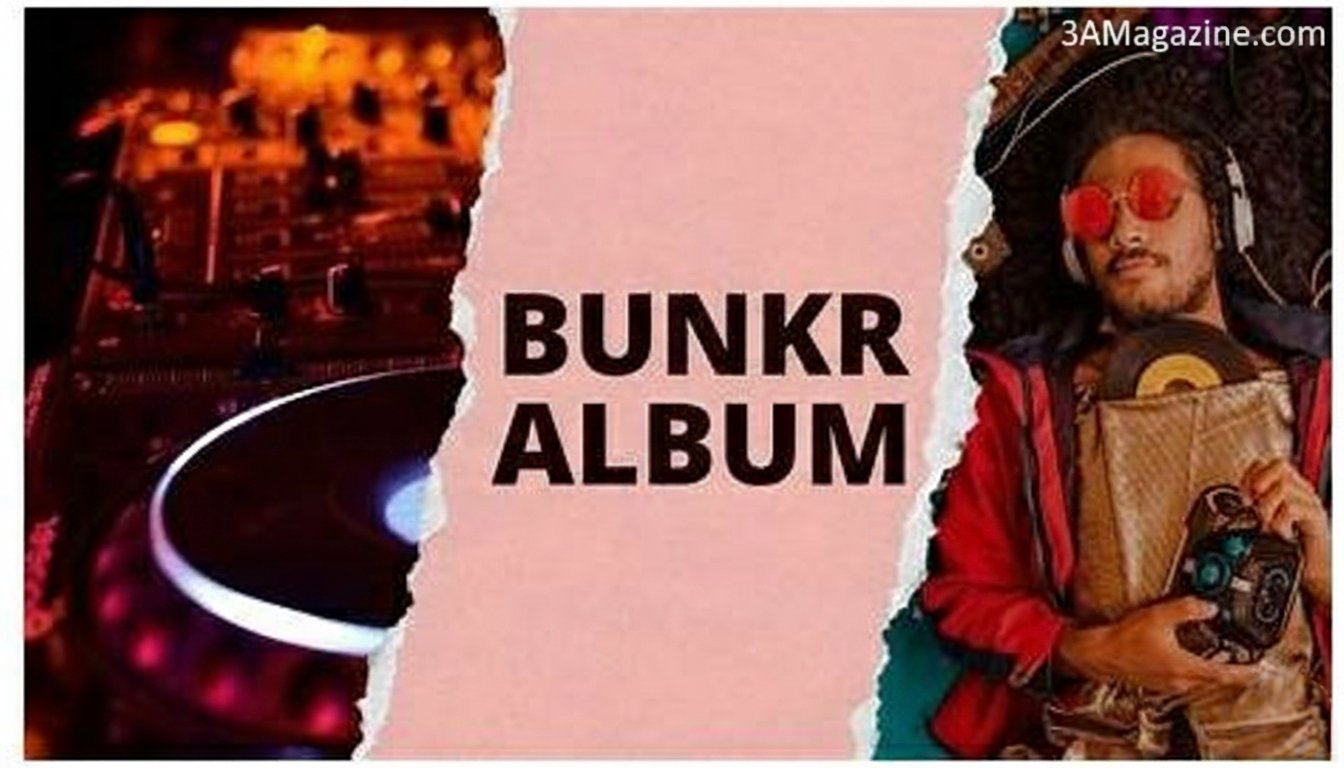 Bunkr Album Guide: What It Is, Uses, Features & Safety